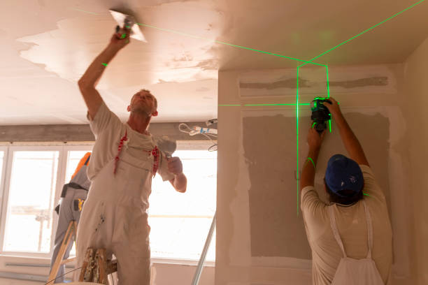 Best Mold Removal for HVAC Installations  in USA